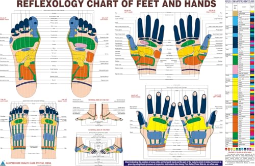 BOSKY Handmade Wooden Ancient Acupressure Spiked Hand Massage Exercise Therapy Deep Tissue Set of 2 Pcs, Spiky Ball and Rings with Reflexology Chart (AS-2)