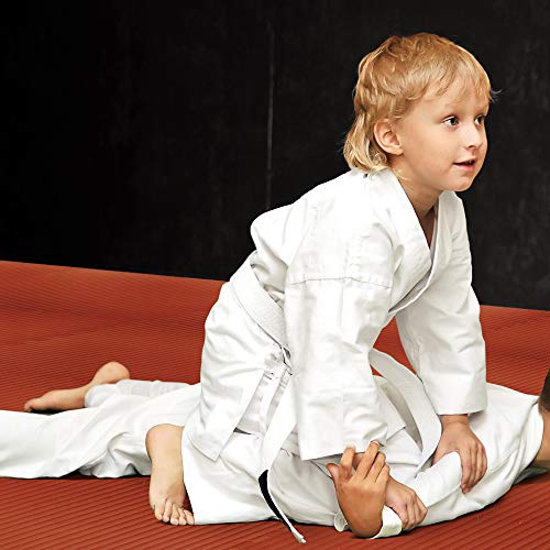 We Sell Mats 1 Inch Thick Martial Arts EVA Foam Exercise Mat, Tatami Pattern, Interlocking Floor Tiles for Home Gym, MMA, Anti-Fatigue Mats, 24 in x 24 in - size: 24 Square Feet (6 Tiles)