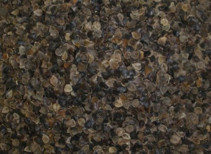 ZEN CHI Organic Buckwheat Hulls Pillow, Personal Standard Size 14"x20"