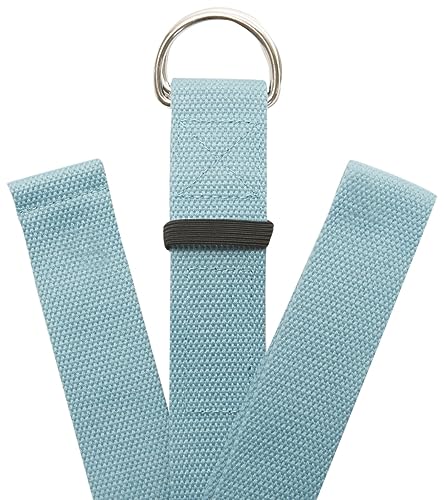 Everyday Yoga Strap with Metal D-Ring Athletic Stretching, 6ft/8ft/10ft | Durable Stretching Strap, Flexibility Training, Exercise & Fitness For Yoga, Pilates, Physical Therapy, Gym, Unisex-Adult - color: Slate Blue, size: 8 Foot