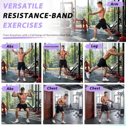 WHATAFIT Resistance Bands with Handles, 5-Level Exercise Bands for Workout - color: Mottled