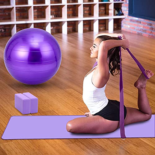 Yoga Mat Set for Beginners,Yoga Mat with Carrying Strap,Yoga Blocks 2 Pack with Yoga Strap,Yoga Ball,Ankle Puller,11-Piece Yoga Kits and Sets for Beginners,Yoga Starter Kit for Women Men - color: Purple