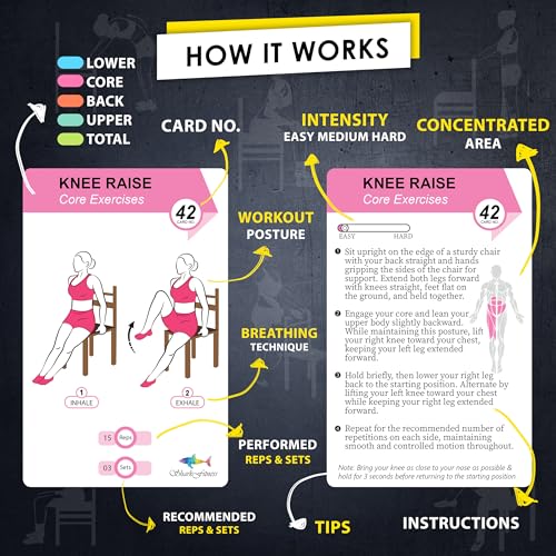 Flexies Chair Yoga Workout Cards – 58 Seated Exercise Cards for Beginners & Seniors | 28 Day Chair Workout Chart for Weight Loss, Strength, Flexibility & Balance