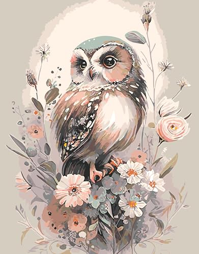 Mrnsiet Owl Paint by Number for Adult Kit, DIY Acrylic Paint by Numbers for Adults Beginner, Owl and Flowers Oil Painting by Number on Canvas for Home Wall Decor 16x20inch - color: MT12376