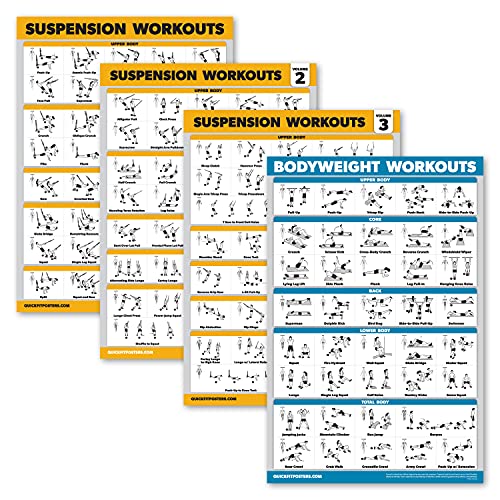 Palace Learning 4 Pack - Suspension Workout Posters Volume 1, 2 & 3 + Bodyweight Exercise Chart - Set of 4 Posters (LAMINATED, 18" x 24") - color: LAMINATED