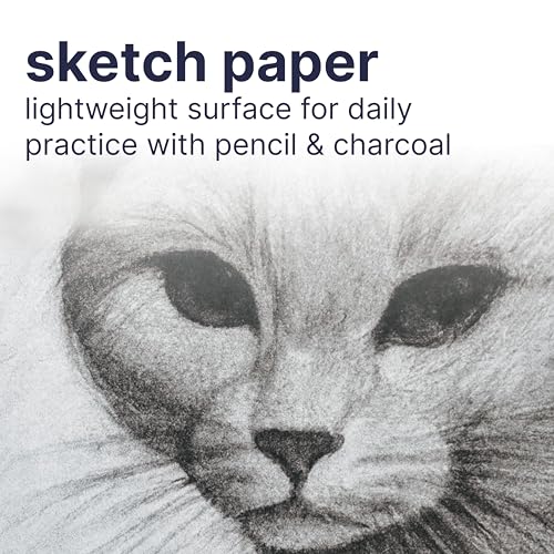Strathmore 200 Series Sketch Pad, 9x12 inch, 100 Sheets, Tape Bound - Artist Sketchbook for Drawing, Illustration, Art Class Students (Pack of 12) - size: 9x12 (Pack of 12)