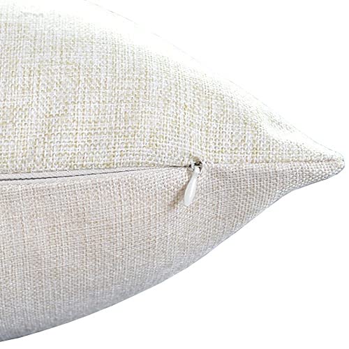 TSSOHU Throw Pillow Cover Colorful Mexican Style Pillow Case Decorative 18 x 18 Inches Outdoor Cushion Couch Sofa Pillowcases - color: Tss41