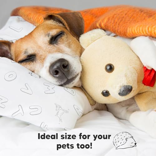 Toddler Pillow with Pillowcase, 13x18 My Little Dreamy Pillow (ABC Land) - color: Abc Land