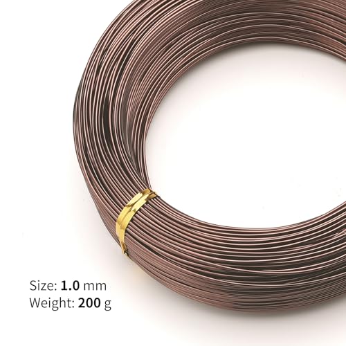 Bonsai Training Aluminum Wire, 1.0mm 18 Gauge Bronze 200g, Bendable Anodized Craft Wire, Flexible Armature Wire for Bonsai Tree Shaping, DIY Handcraft and Model Making(Bronze-1.0) - color: Brown, size: 18 Gauge