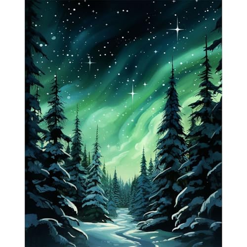 Paint by Numbers Kit for Adults Beginner, Aurora Adult Paint by Number Kits on Canvas Without Frame, Forest Oil Painting by Numbers for Home Decor Gift 16” W x 20”L - color: LOP0725, size: Frameless
