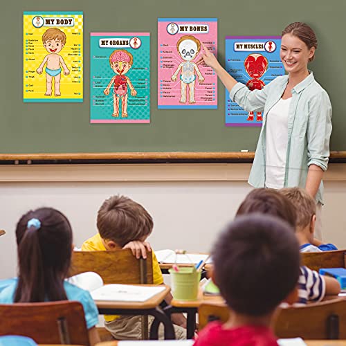 Outus 4 Pcs Human Body Parts Posters for Kids, 11 x 17 Inch | Body Parts Wall Charts, Cartoon Anatomy Chart Educational Preschool Kindergarten Teaching Supplies, Classroom Decoration