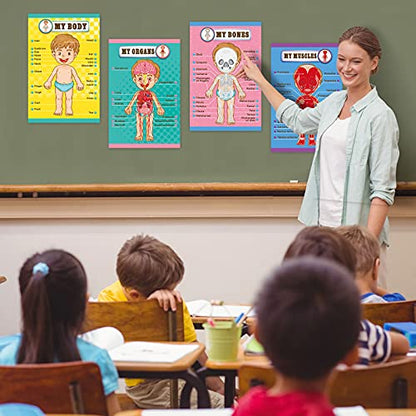 Outus 4 Pcs Human Body Parts Posters for Kids, 11 x 17 Inch | Body Parts Wall Charts, Cartoon Anatomy Chart Educational Preschool Kindergarten Teaching Supplies, Classroom Decoration