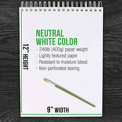 U.S. Art Supply 9x12 Premium Heavy-Weight Acrylic Painting Paper Pad, 246lb (400gsm), 2 Pack, 12 Sheets, Spiral Bound, for Acrylic Paint