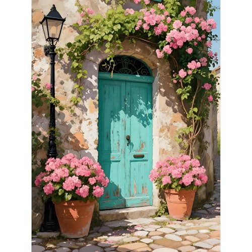 pchmcu DIY Streetscape Paint by Numbers Kits for Adults,Flower Door Scenery Paint by Number for Adults Beginner,Paint by Numbers Kits on Canvas Without Frame for Home Wall Decor 16x20inch - color: MT22401