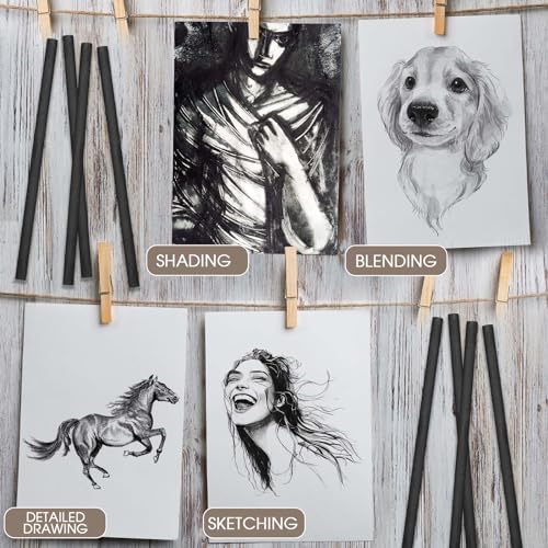 Gueevin 100 Pcs Soft Willow Charcoal Sticks Drawing,7-9mm | For Artists Beginners Students, Vine Charcoal Bulk for Sketching Shading Fine Art, Assorted Sizes, Back to School Gifts - size: 7-9mm