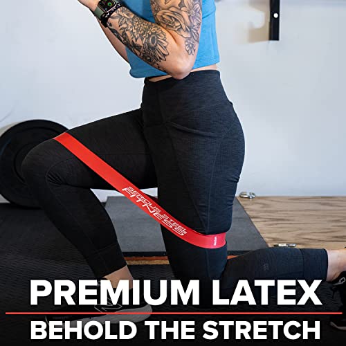 Serious Steel Fitness Mini Resistance Loop Bands | Rehab and Prehab Stretch Bands | 12" Exercise Workout Bands (Sets of 5 Pack and Sets of 10 Pack Trainer Options Available!) - color: Medium 10 Pack (2" x 12")