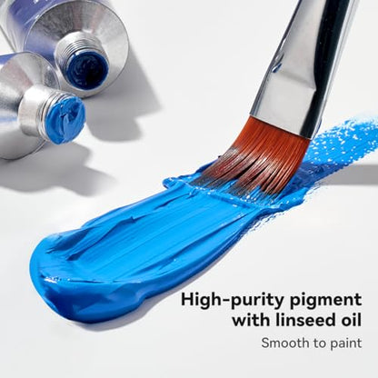 Paul Rubens Oil Paint, 20 Basic Colors*170 ml Large Professional Tubes | Oil Based Paint with High Saturation, Creamy Texture, and Consistency,Art Supplies for Artists, Students, Beginners - color: 20 colors*170ml-B