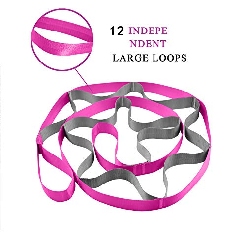 SANKUU Yoga Straps Stretching Strap with 12 Loops Workout Poster, Straps for Stretching Physical Therapy Equipment Long Stretch Out Bands for Exercise, Pilates and Gymnastics for Women Men - color: Pink+Grey