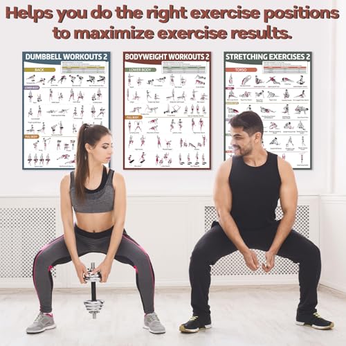 gisgfim 6PCS Workout Posters for Home Gym Dumbbell Bodyweight Stretching Workout Exercise Chart - color: Retro