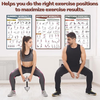 gisgfim 6PCS Workout Posters for Home Gym Dumbbell Bodyweight Stretching Workout Exercise Chart - color: Retro