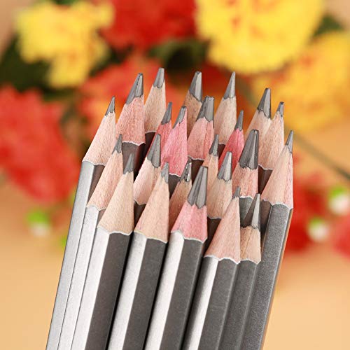 HEEPDD 24Pcs Drawing Sketching Pencil Set, Art Graphite Shading Pencils | Art Graphite Drawing Pencil Colored Paint Pencil 9H-14B for Beginners ProArtists