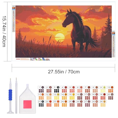JOOZ Large Diamond Art Kits for Adults DIY 5D Horse Diamond Painting Kits for Adults Full Drill Sunset Diamond Painting Gem Art Kits for Gift Home Wall Decor 27.5x15.7 Inch - color: Horse 035