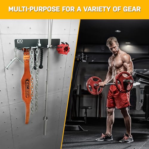 Double Circle Gym Equipment Storage Rack - Multi Purpose Gym Equipment Wall Rack Hanger for Pro Home Gym Storage for Exercise Bands, Barbell Bar, Jump Ropes, Chains, Lifting Belts (17" - Hooks) - color: Black: 8 Standard Hooks