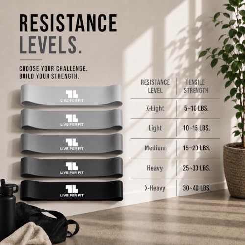 Exercise Resistance Loop Bands with Instruction Guide and Carry Bag, Set of 5 - color: Gray/Black