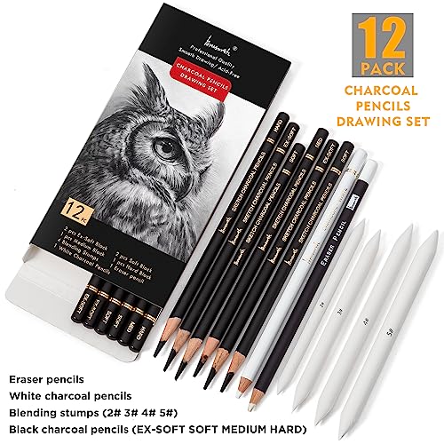 Brusarth Charcoal Drawing Set, 12 pcs Black charcoal pencils | White Charcoal Pencils, Eraser Pencils, Blending Stumps for Drawing, Sketching, Shading, Artist Pencils for Beginners - color: Black