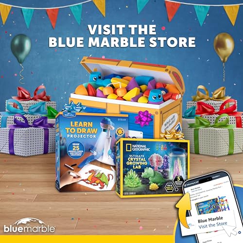 National Geographic Mega Arts and Crafts Activity Kit for Kids Ages 8-12 | Rock Painting, Weaving Loom for Kids & Birdhouse Craft, 3 Creative Projects, 25 Bonus Activities, Art Supplies, Birthday Gift - style: Mega Craft Kit