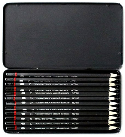 Professional Sketch pencils Drawing pencils set for Kids and Adults,Art sketching pencils for Artists Beginner(8B-2H).(12-Count) - size: 1 Count (Pack of 12)