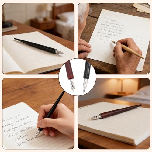 beinkmake 20Pcs Comic Pen Nib Set 17 Styles Stainless Steel Dip Pen Nib Replacement 3 Colors Wooden Pen Holder for Writing Drawing Signing