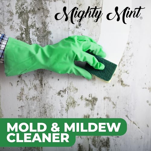 Mighty Mint Mold & Mildew Stain Remover Spray, Rapid Clean for Bathroom, Kitchen, Hard Water, Outdoors, Natural Peppermint Scent, 16oz