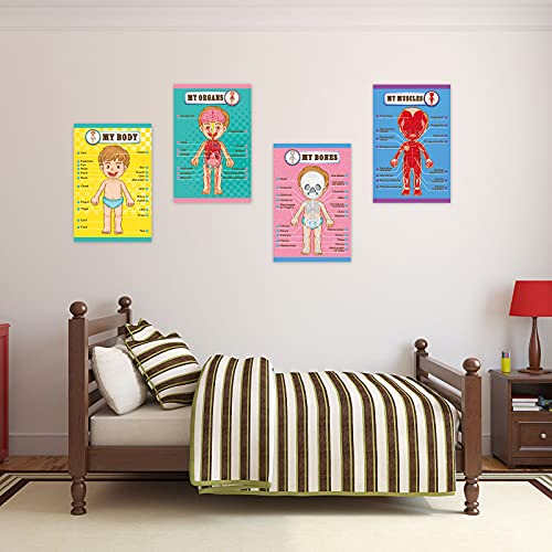 Outus 4 Pcs Human Body Parts Posters for Kids, 11 x 17 Inch | Body Parts Wall Charts, Cartoon Anatomy Chart Educational Preschool Kindergarten Teaching Supplies, Classroom Decoration