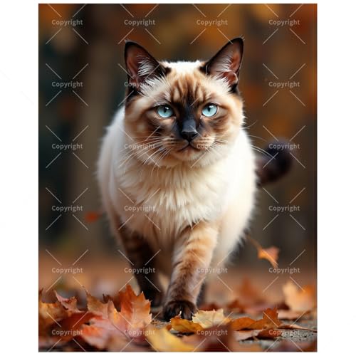 TAOPAOLAB Autumn Siamese Cat Paint by Numbers Kit for Adults - DIY Fluffy Blue-Eyed Cat with Leaves Painting on Canvas 8x12In, Framed Acrylic Paint Set, Suitable for Beginners, Pet Art for Decoration - color: FM04718, size: 8×12in Framed