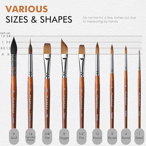 Watercolor Brushes Professional, Fuumuui 9pcs Sable Paint Brushes & Natural Squirrel Mop Brush Set with Extended Needle, Round Point, Flat, Dagger, Quill Wash for Watercolor Gouache Inks - color: Bronze