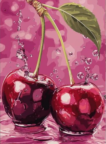 AIBOERL Diamond Art Kits for Adults,Cherry Diamond Painting Wall Decor | Round Drill Cherry Diamond Painting for Beginners DIY Rhinestone 5D Diamond dots(Gemstone Craft)Wall Art Gift 12x16IN - color: DP03256