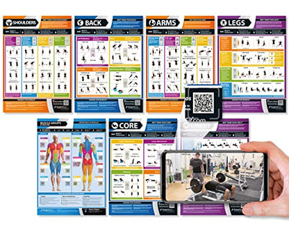 Set of 7 Gym Workout Posters - Laminated Muscle Group Exercise Charts with Free Video Guides, Dumbbell, Kettlebell and Barbell Exercise for Full Body Training and Home Gym Fitness Room Décor