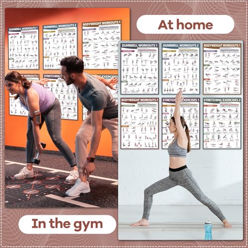 gisgfim 6PCS Workout Posters for Home Gym Dumbbell Bodyweight Stretching Workout Exercise Chart - color: Retro