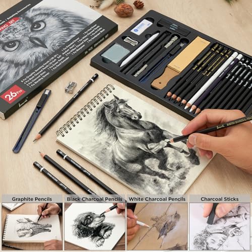 Brusarth Charcoal Pencils for Drawing, Graphite Pencils (10B-2H), 26 Pcs | Drawing Sketching Pencil Set for Sketching, Shading, Blending, Artist Pencils for Beginners & Pro Artists