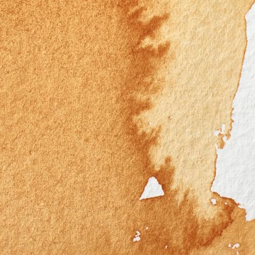 Winsor & Newton Professional Watercolor, 5ml Tube, Gold Ochre | Unrivalled Transparency, Single Pigment Vibrant Colors, Archival Permanence, Heritage Watercolors, Finest Pigments - color: Gold Ochre, style: 0.17-oz Tube