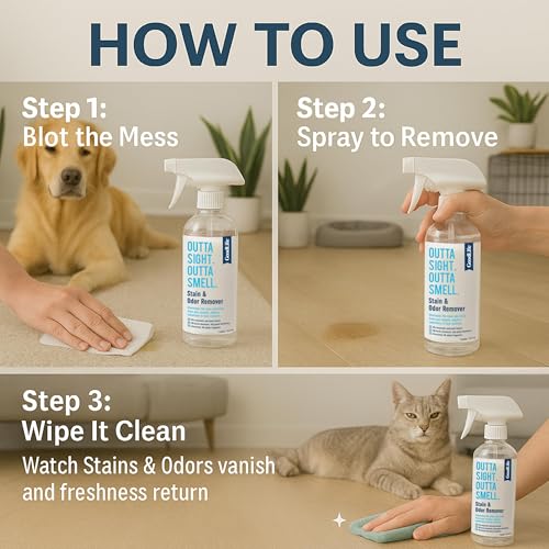 Natural Odor and Stain Remover Spray - Unscented Plant-Based Child & Pet Safe Cleaner Earth-Friendly Odor Eliminator Eco Cleaning Products for Home, Carpet (1 Pack, 1 Gallon) - size: 128 Fl Oz (Pack of 1)