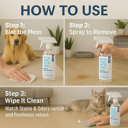 Natural Odor and Stain Remover Spray - Unscented Plant-Based Child & Pet Safe Cleaner Earth-Friendly Odor Eliminator Eco Cleaning Products for Home, Carpet (1 Pack, 1 Gallon) - size: 128 Fl Oz (Pack of 1)