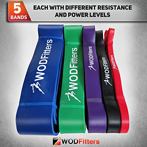 WODFitters Pro Series Pull-Up Assistance Bands – Premium Resistance Loop Bands for Assisted Pull Ups, Muscle Ups, Strength Training & Mobility – Durable Bands for Functional Fitness - color: #5 Blue