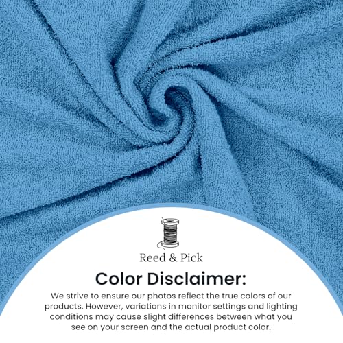Reed&Pick Hand Towels (Pack of 24) Light Blue Economy Towels Salon Towels - 100% Cotton Spa Towel – 16 x 26 Inches Highly Absorbable, Facial Gym Hair Towel Face Towel Bulk - color: Blue, size: 16x27 Pack of 24
