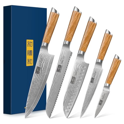 HOSHANHO Damascus Kitchen Knife Set 5PCS, Sharp Chef Knives Ergonomic Grip | Professional Cooking Knife Set | Japanese Super Steel | 15° Edge | 62 HRC | Ergonomic Olive Wood Handle | Housewarming Gift - style: 5 Pieces Knife Set