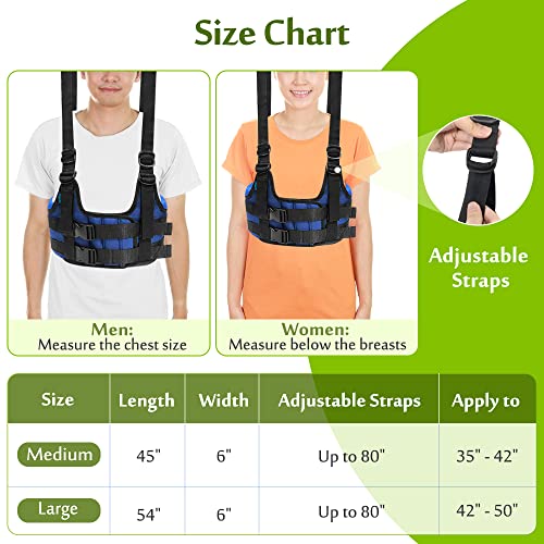 Back Stretcher Harness for Spinal Decompression, Lumbar Traction Belt & Inversion Table Alternative, Back Realignment Device for Herniated Disc Pain Relief – Large (42–50” Chest) - color: L