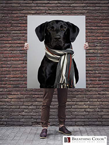 Premium Lyve Matte Canvas Paper Perfect For Use on Professional Makes and Models of Epson, Canon and HP printers preferred by Professionals. 19 mil textured Canvas offered in a 17 inch by 40 ft roll - size: roll-17in-x-40ft-1roll