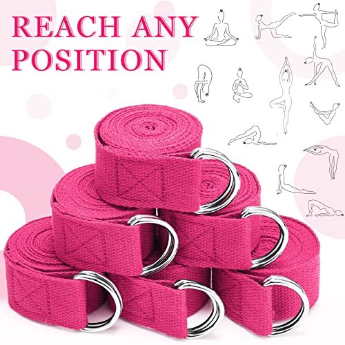 Leyndo Yoga Strap Stretching Pilates Exercise Adjustable Straps 6 ft Non Elastic Yoga Belt with Adjustable D Ring Buckle for Pilates Gym Workouts Fitness - color: Rose