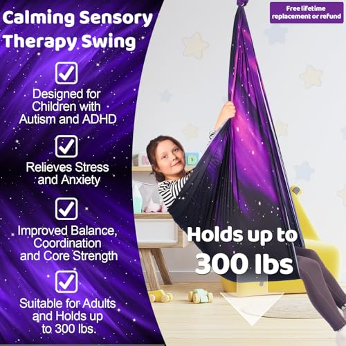 HiCamer Sensory Swing for Kids Indoor and Outdoor Therapy Cuddle - color: Space Purple